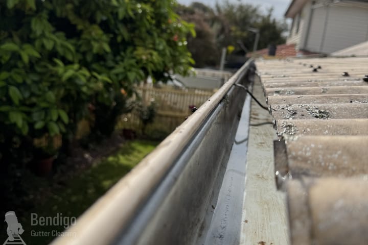 Gutter Cleaning